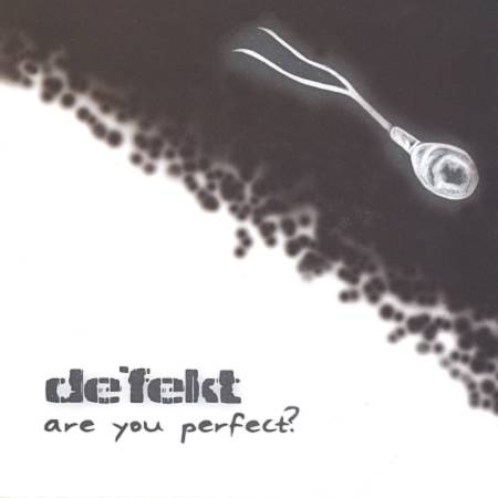 De'fekt - are you perfect? (2005)_cover