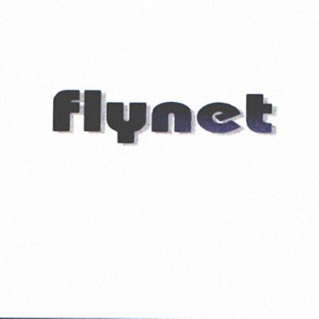 Flynet - Flynet (1999)_cover