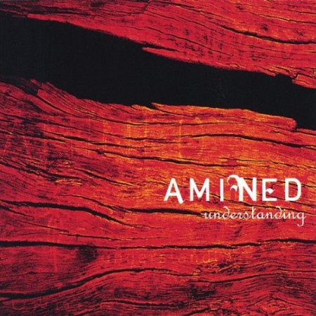Amined-Understanding_Cover