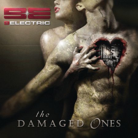 The Damaged Ones (2016)_cover