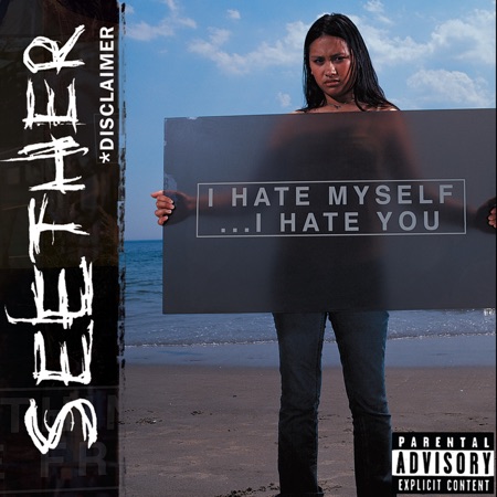 Seether - Disclaimer (2002)_cover