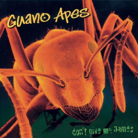 Guano Apes - Don't Give Me Names (2000)_cover