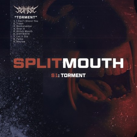 Splitmouth - Torment (2020)_cover