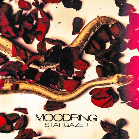 Moodring - Stargazer (2022)_cover