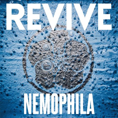 NEMOPHILA - REVIVE (2021)_cover