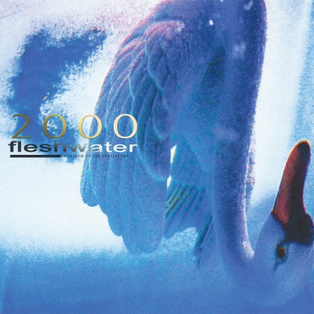 Fleshwater - 2000_ In Search Of The Endless Sky (2025)_cover
