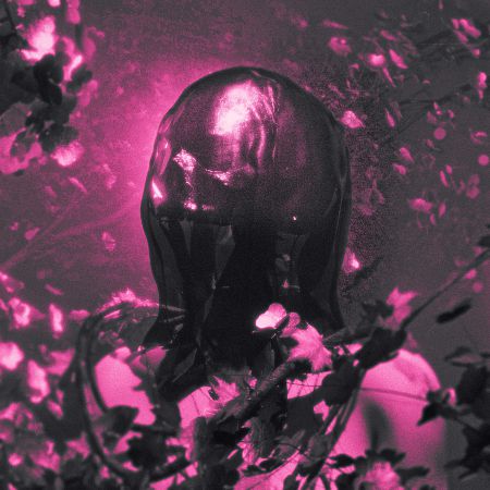 Pinknoise - Flesh And Bone [EP] (2026)_cover