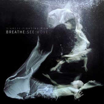 Siamese Fighting Fish - Breathe See Move (2012)_cover