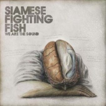 Siamese Fighting Fish - We Are The Sound (2011)_cover