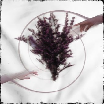 Take The Name - Limerence (2026)_cover
