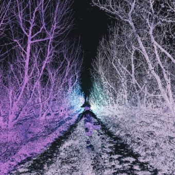 Modern Tiger - Transient Love [EP] (2026)_cover