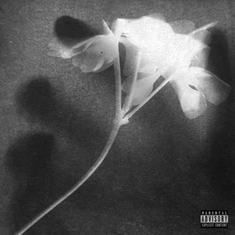 Prodigal - The Floating World [EP] (2026)_cover