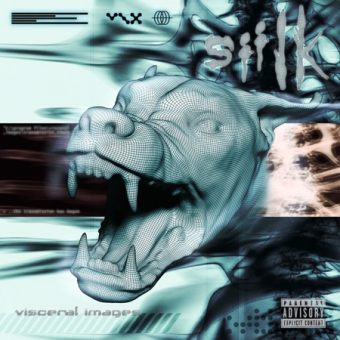 Siilk - Visceral Images (2026)_cover